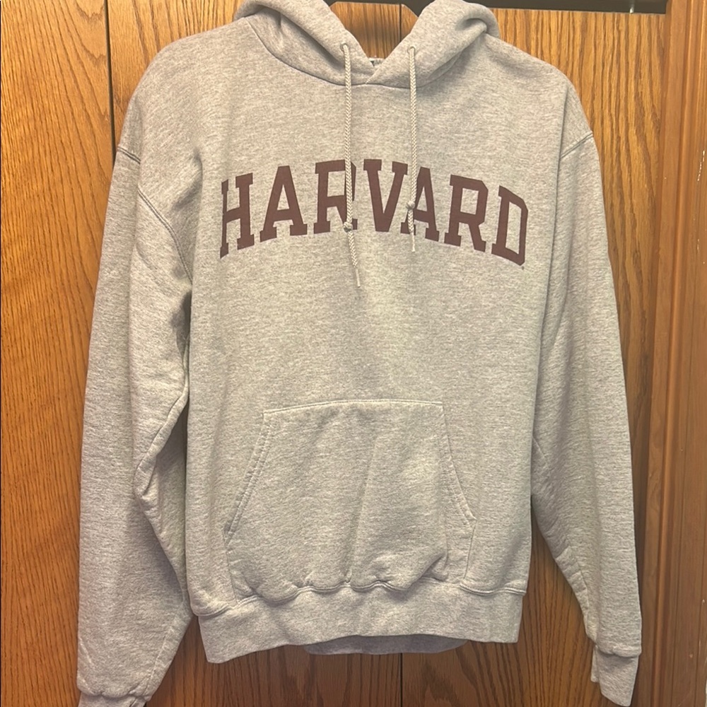 3/$20 Champion Gray Collegiate Sweatshirt